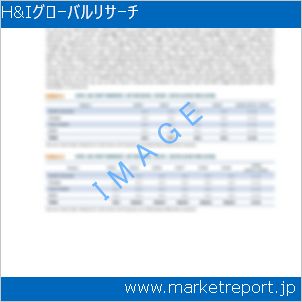 市場と産業調査レポートのイメージ